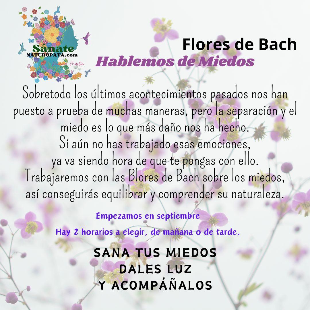 flores de bach formacion