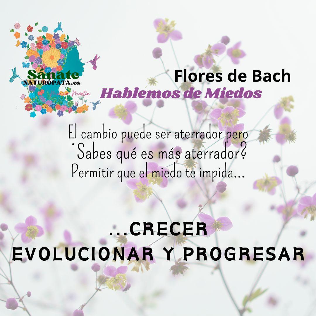 flores de bahc