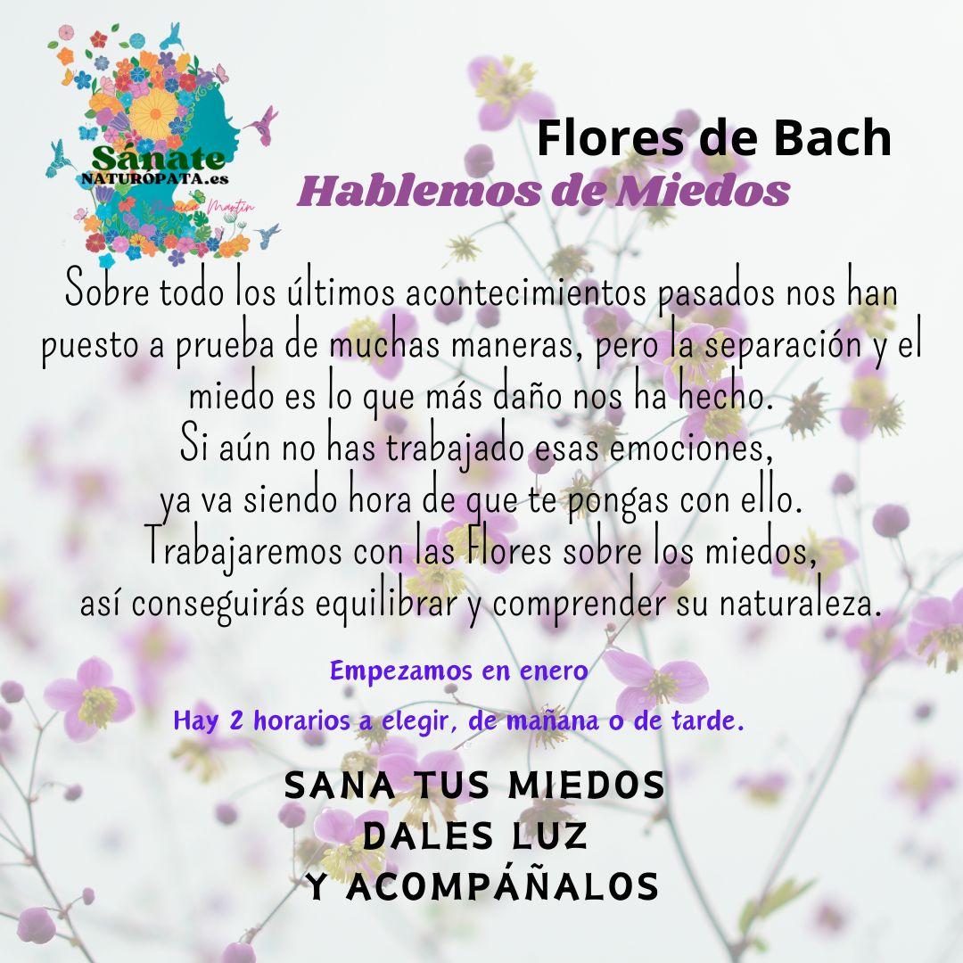 flores de bach formacion